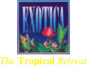 Exotica The Tropical Retreat